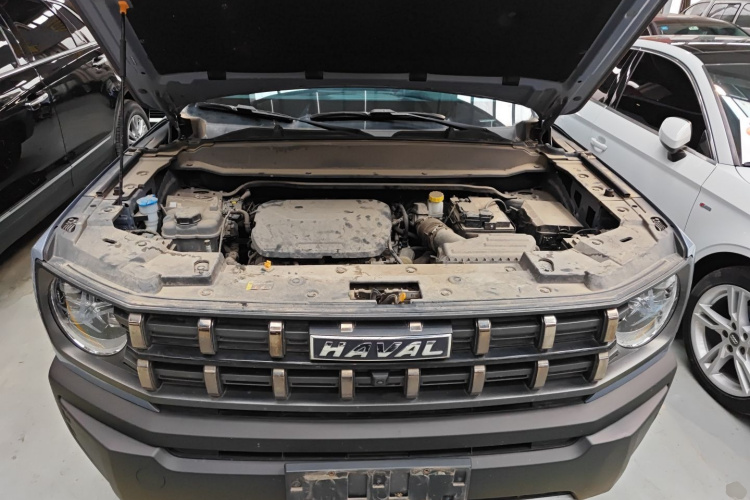 Haval Dargo 2023 car image #22