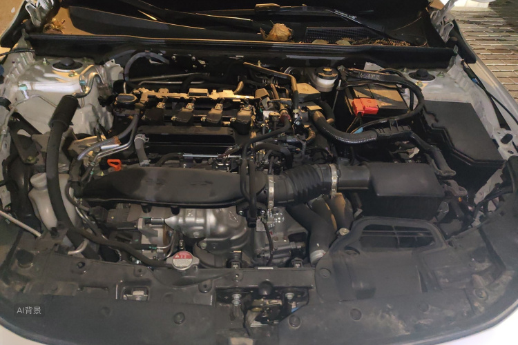 Honda INTEGRA 2022 immagine di auto #22