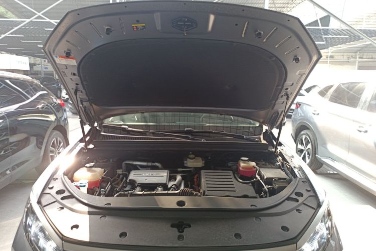 BYD Sea Lion 05 DM-i 2025 image de voiture #22