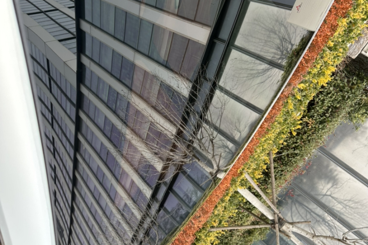 Deepal S05 2025 immagine di auto #22