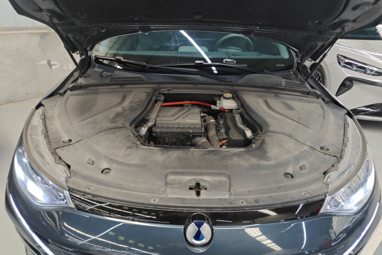 Denza N8 2023 imagen de coche #22