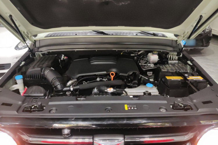 Tank 300 2021 immagine di auto #22