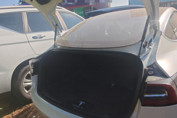 特斯拉 Model 3(进口) 2019 汽车图片 #22