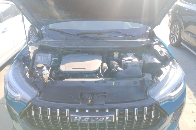 Haval Rabbit 2021 car image #22