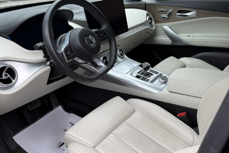 Denza X 2020 car image #22