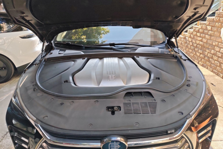 BYD Tang New Energy 2019 car image #22