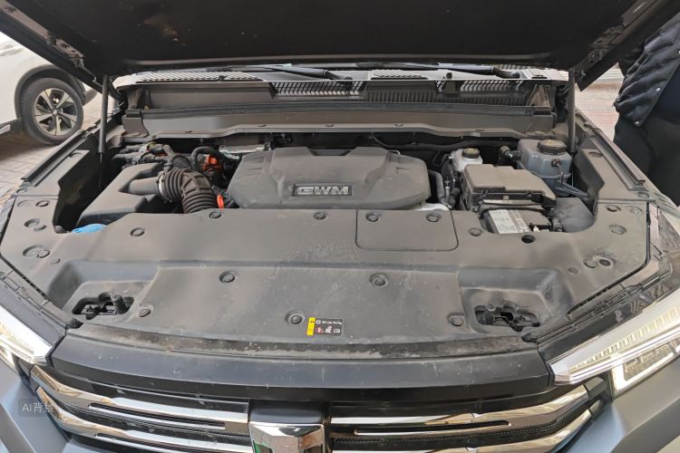 Tank 400 New Energy 2024 car image #22