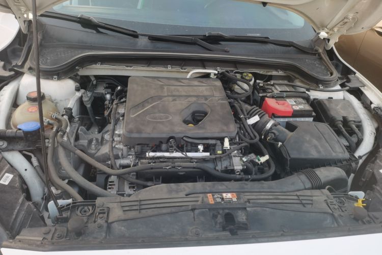 Ford Focus Active 2020 صورة سيارة #22