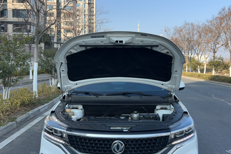 Forthing JOYEAR X5 2019 car image #22