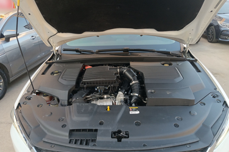 BYD Qin Pro New Energy 2020 car image #22