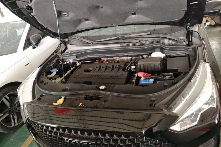 Haval M6 2019 car image #22