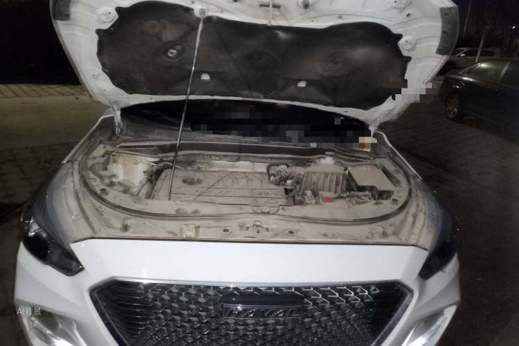 Haval M6 2019 #22 Haval M6 2019 car image #22