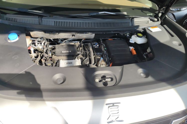 BYD Xia 2024 imagen de coche #22