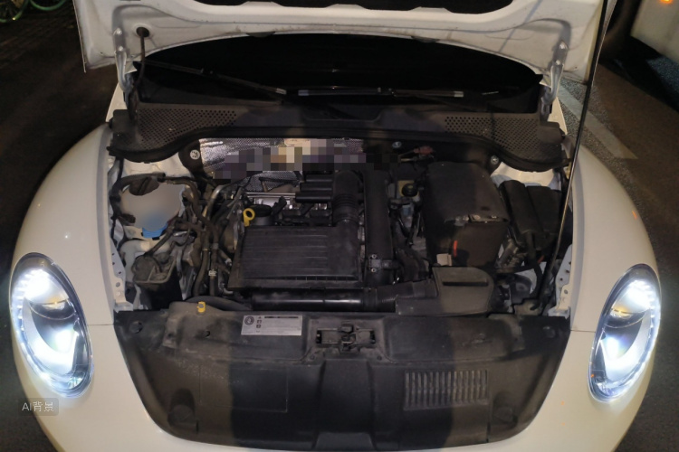 Volkswagen Beetle 2016 immagine di auto #22