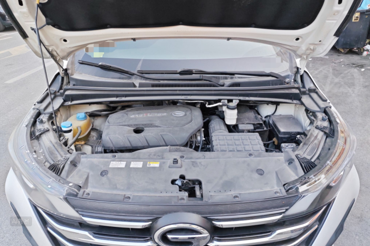 GAC Trumpchi M6 2020 car image #22