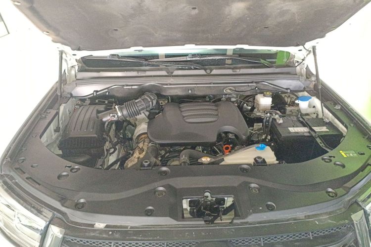 Great Wall Poer 2020 car image #22