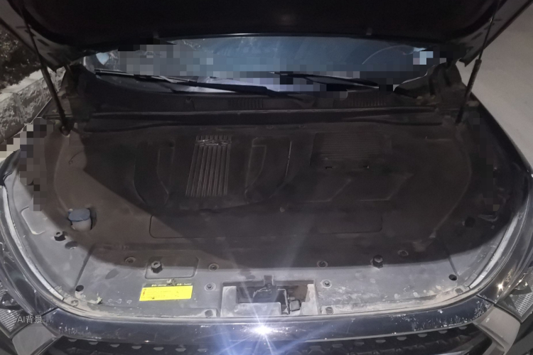 Jetour X95 2020 car image #22