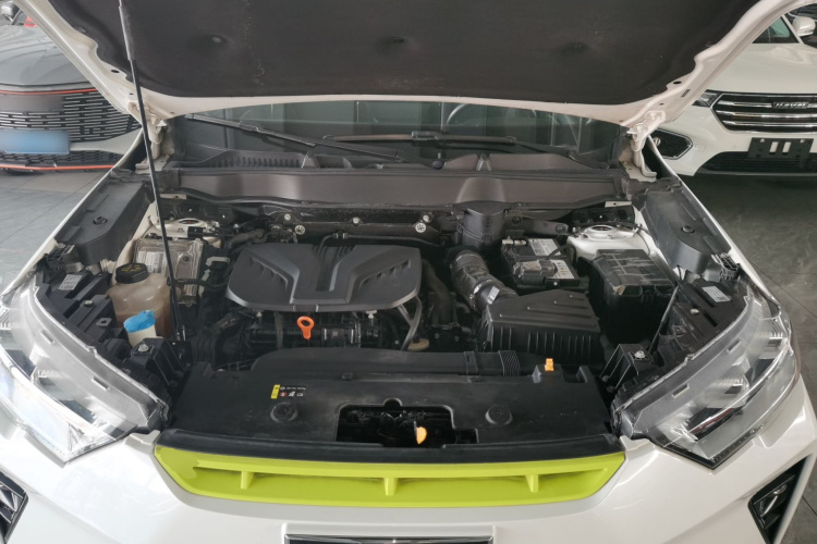 Haval H6S 2021 صورة سيارة #22