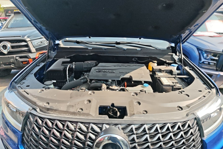 Great Wall Poer 2024 #22 Great Wall Poer 2024 car image #22