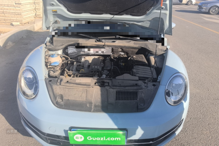 Volkswagen Beetle 2014 immagine di auto #22