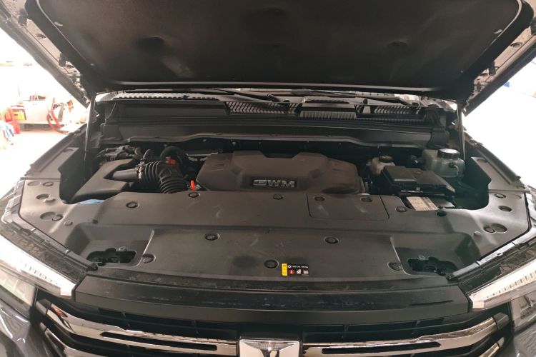 Tank 400 New Energy 2025 car image #22