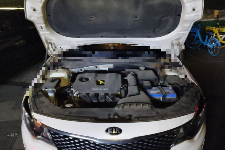 Kia K5 2016 car image #22
