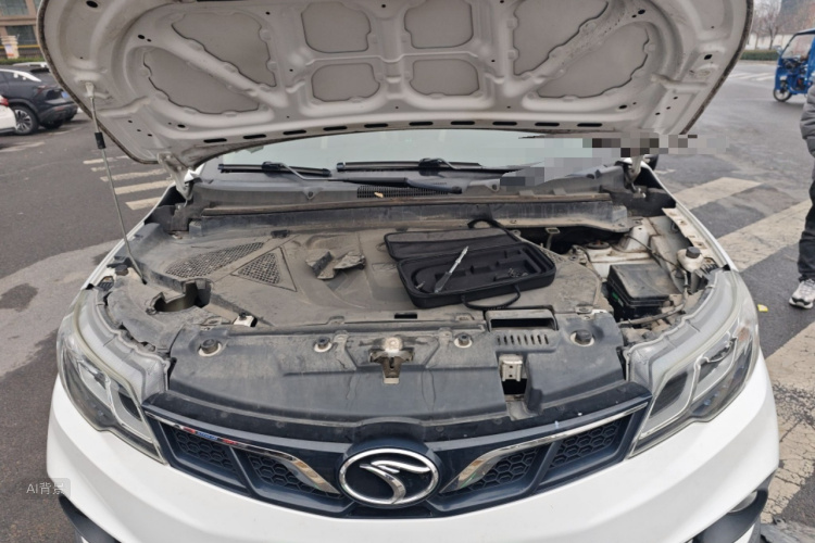 Soueast DX3 2016 imagen de coche #22