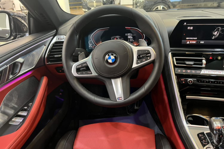 BMW 8 Series 2022 #22 BMW 8 Series 2022 car image #22