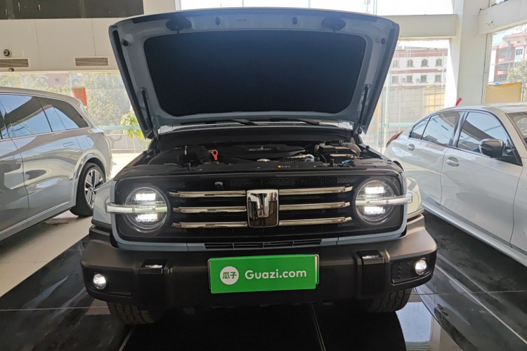 Tank 300 New Energy 2024 car image #22