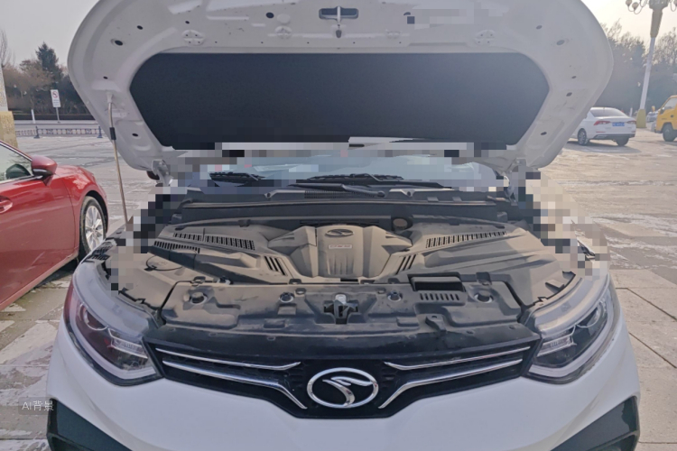 Soueast DX5 2021 car image #22