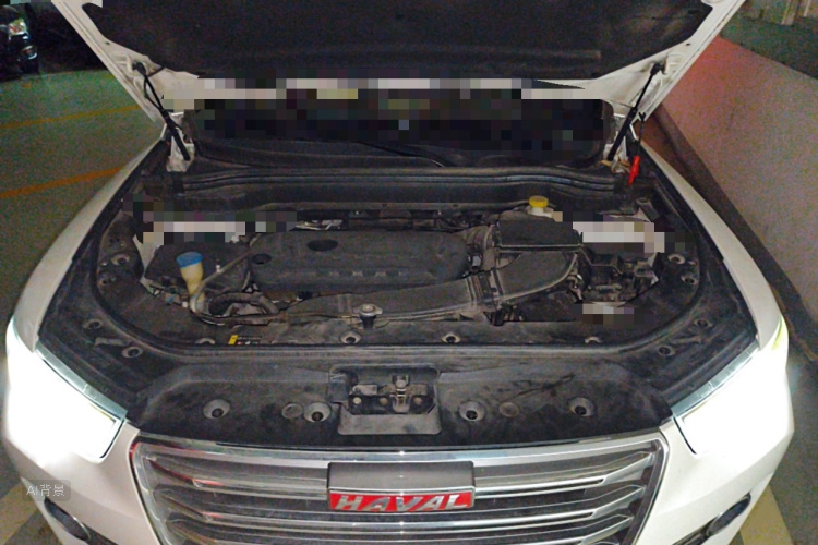 Haval H6 2017 car image #22