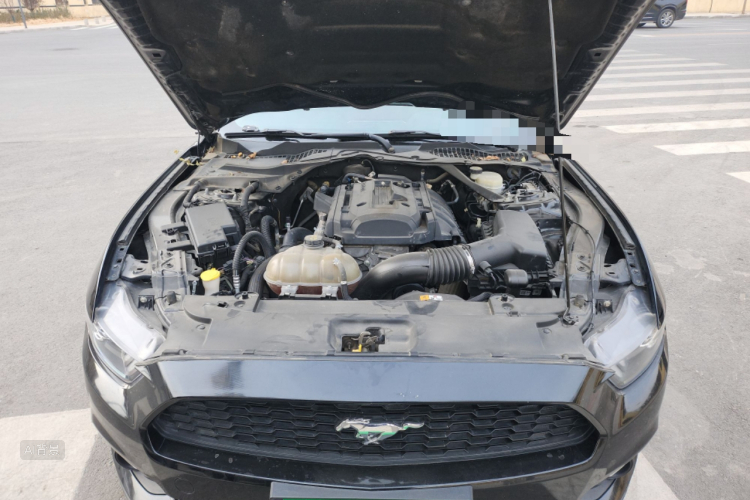 Ford Mustang 2017 car image #22