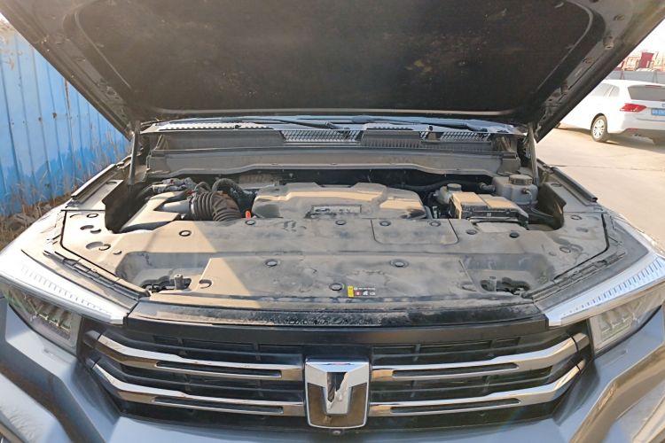 Tank 400 New Energy 2024 immagine di auto #22