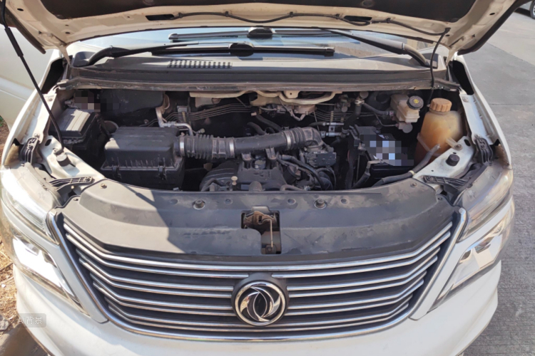 Forthing Lingzhi 2019 immagine di auto #22