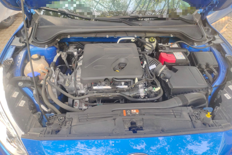 Ford Focus 2020 #22 Ford Focus 2020 car image #22