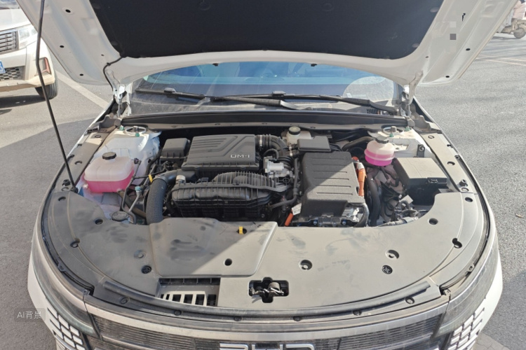 BYD Destroyer 05 2025 car image #22