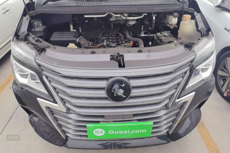 Forthing Lingzhi 2024 car image #22