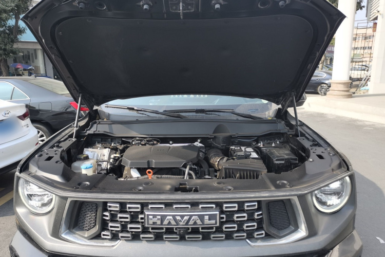 Haval Dargo 2 2023 car image #22