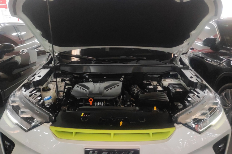 Haval H6S 2022 #22 Haval H6S 2022 immagine di auto #22