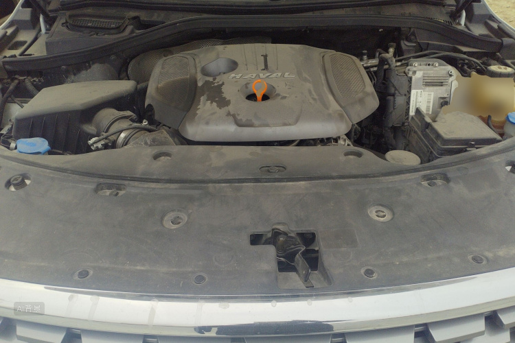 Haval H8 2017 #22 Haval H8 2017 car image #22