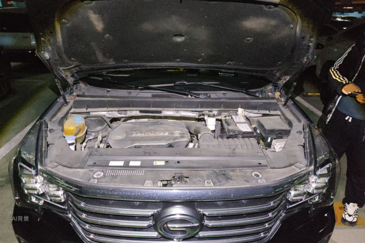 GAC Trumpchi GS7 2019 car image #22