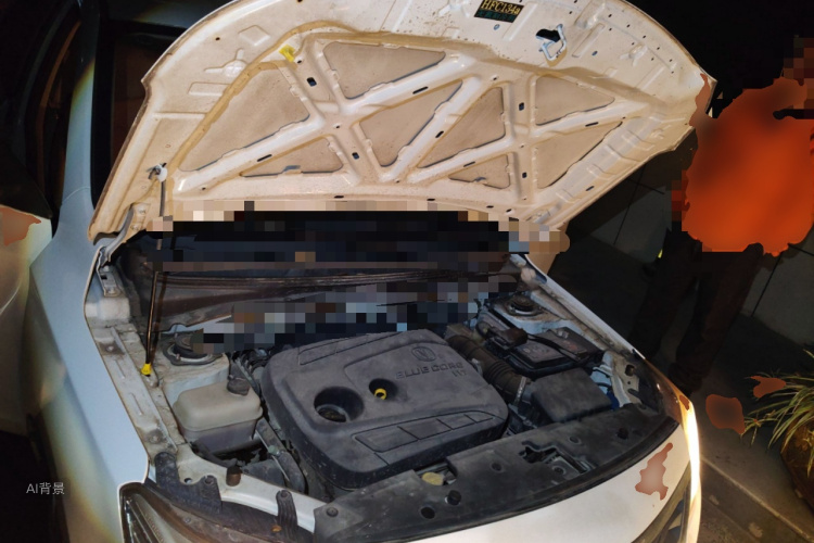 Changan Alsvin V3 2016 immagine di auto #22