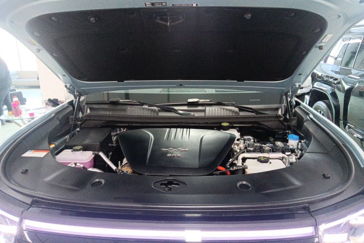 FangChengBao Leopard 8 2024 car image #22