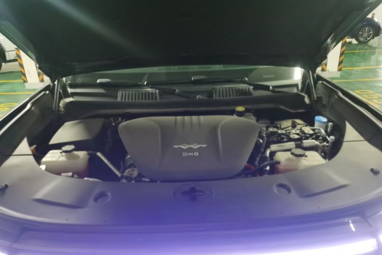 FangChengBao Leopard 8 2025 car image #22