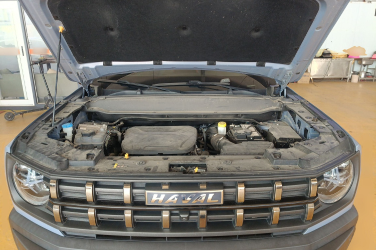 Haval Dargo 2023 #22 Haval Dargo 2023 car image #22