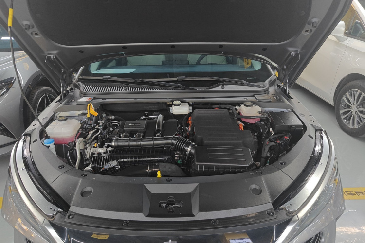 BYD Qin L 2024 car image #22