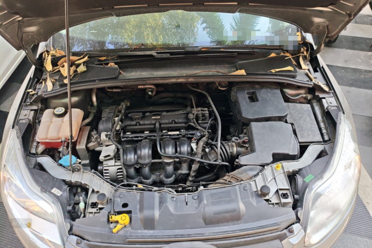 Ford Focus 2013 #22 Ford Focus 2013 car image #22