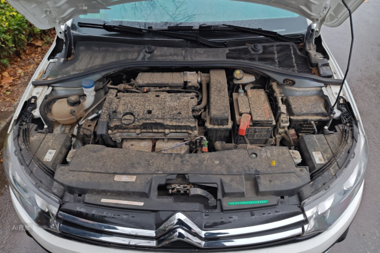 Citroen C-Elysée 2019 #22 Citroen C-Elysée 2019 immagine di auto #22