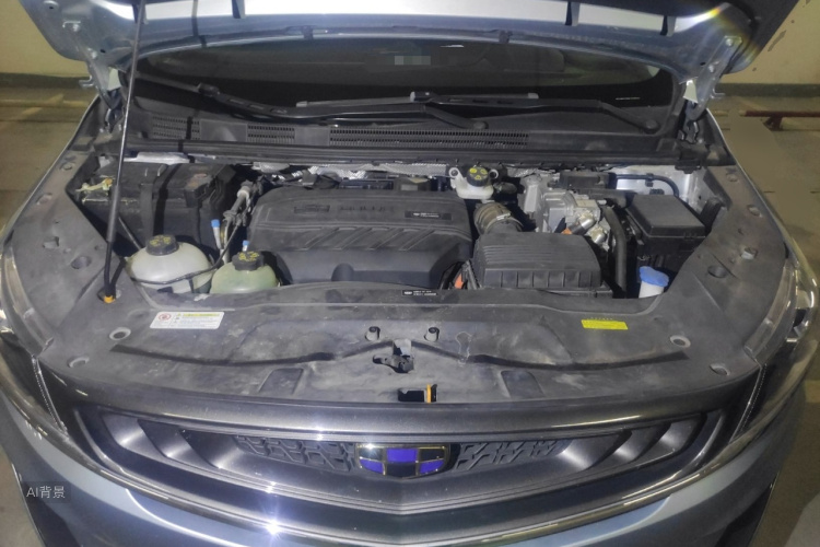 GEELY JiaJi New Energy 2019 immagine di auto #22