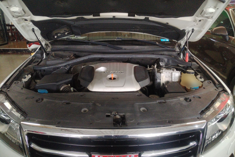 Haval H8 2017 #22 Haval H8 2017 car image #22